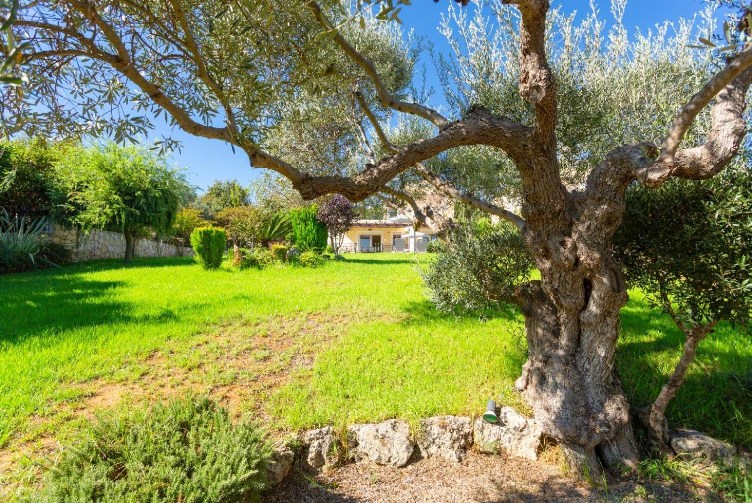 Villa Mary Gerani Chanion Exterior foto